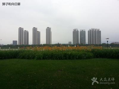 河西天氣預(yù)報(bào)10天查詢