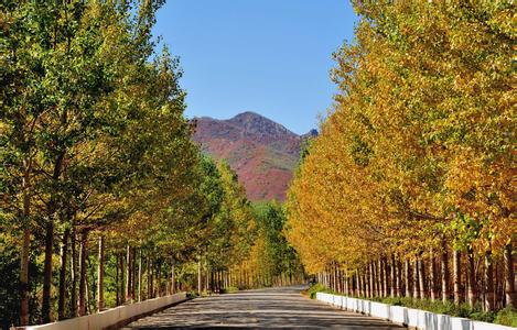 豐南天氣預報10天查詢