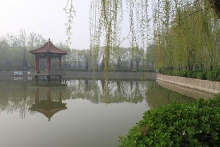 清河天氣預報10天查詢