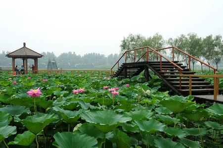 安新天氣預(yù)報10天查詢