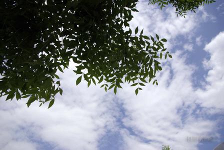 固安天氣預報10天查詢