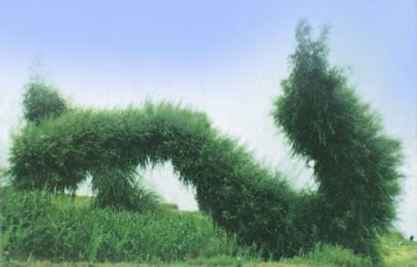 奈曼旗天氣預報10天查詢