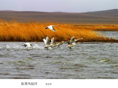 鄂溫克族旗天氣預報10天查詢