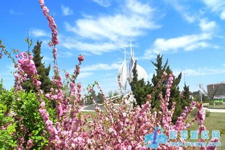 普蘭店天氣預(yù)報(bào)10天查詢