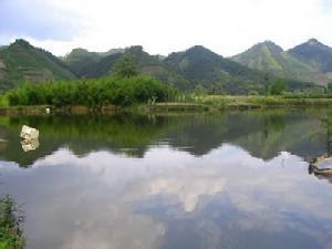 振安天氣預(yù)報(bào)10天查詢(xún)