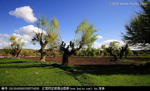 榆樹天氣預(yù)報10天查詢