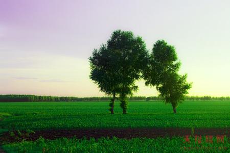 杜爾伯特天氣預報10天查詢