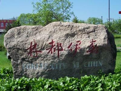 伊春區(qū)天氣預(yù)報(bào)10天查詢