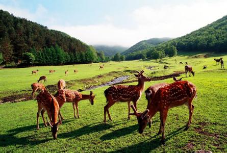 金山屯天氣預報10天查詢