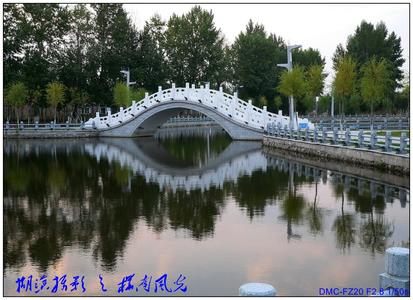 樺南天氣預報10天查詢