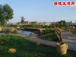 綏棱天氣預(yù)報(bào)10天查詢