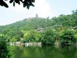崇川天氣預報10天查詢