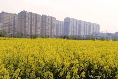 港閘天氣預(yù)報(bào)10天查詢