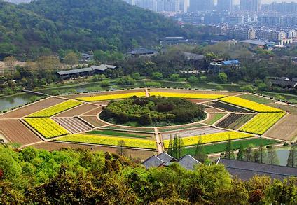 上城天氣預報10天查詢