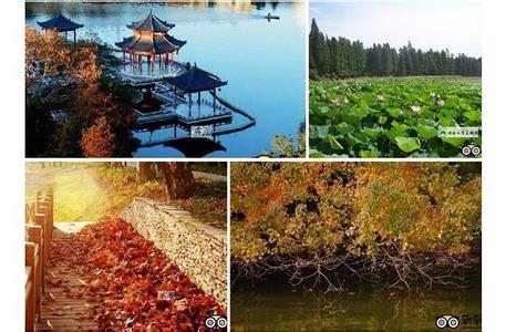 西湖天氣預報10天查詢