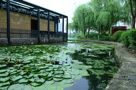鄞州天氣預(yù)報(bào)10天查詢