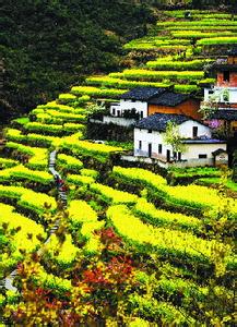 開化天氣預報10天查詢