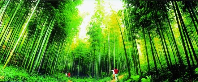 花山天氣預報10天查詢