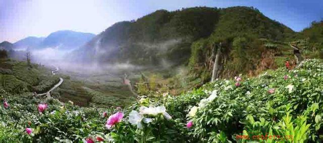 銅陵天氣預報10天查詢