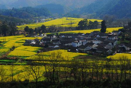 石臺天氣預報10天查詢