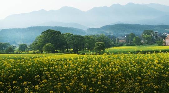 安福天氣預報10天查詢