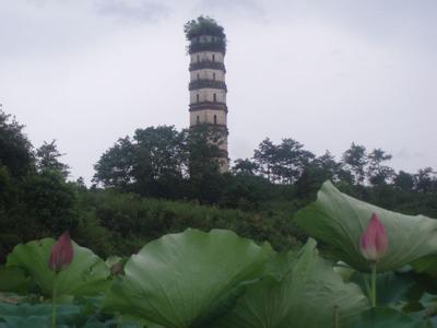 宜黃天氣預報10天查詢