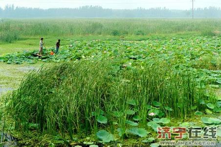 魚臺天氣預報10天查詢