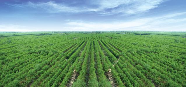 樂陵天氣預報10天查詢