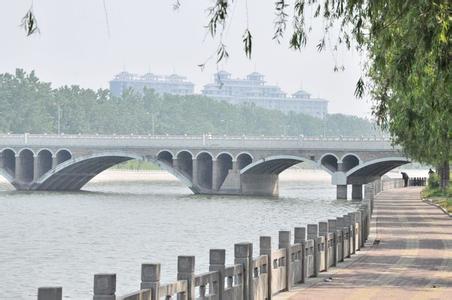 莘縣天氣預報10天查詢