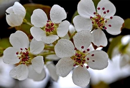 陽信天氣預報10天查詢