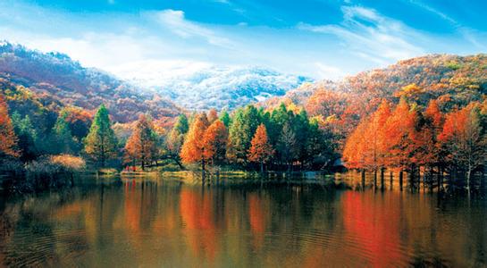 嵩縣天氣預報10天查詢