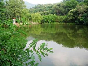 魯山天氣預報10天查詢