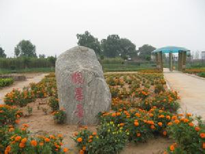 中站天氣預報10天查詢