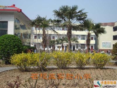 召陵天氣預報10天查詢