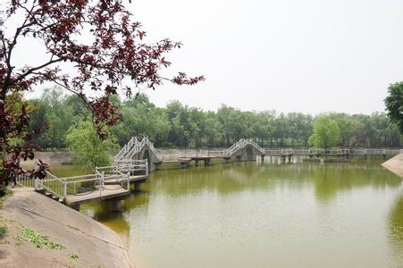 南陽天氣預(yù)報10天查詢