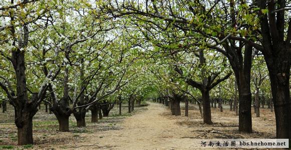 寧陵天氣預報10天查詢