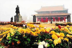 夏邑天氣預報10天查詢