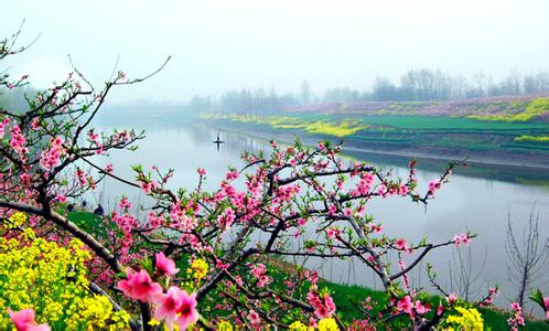 西華天氣預報10天查詢