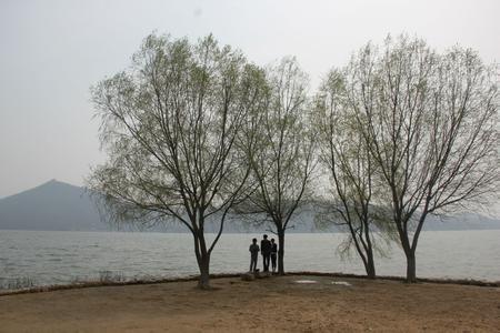 商水天氣預報10天查詢