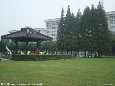 洪山天氣預(yù)報(bào)10天查詢