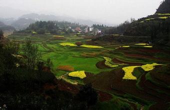 點軍天氣預報10天查詢
