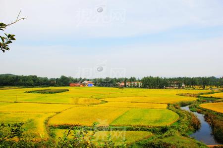 安陸天氣預報10天查詢