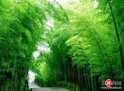 咸寧天氣預報10天查詢