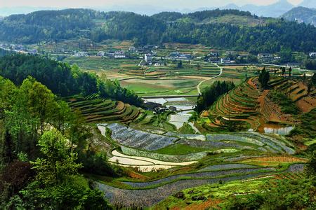 利川天氣預報10天查詢