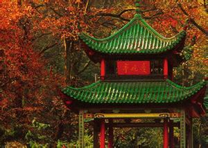 岳麓天氣預報10天查詢