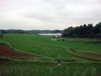 湘潭縣天氣預報10天查詢