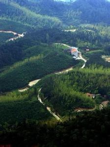 岳陽縣天氣預報10天查詢