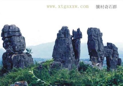 新田天氣預(yù)報(bào)10天查詢
