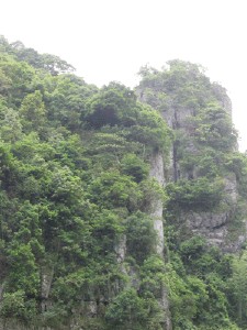 會同天氣預報10天查詢
