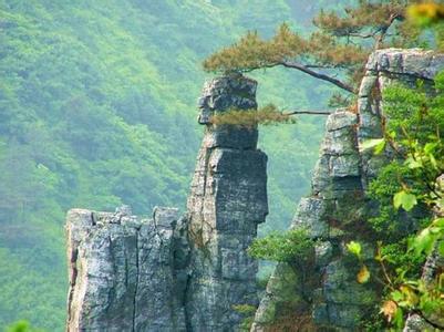 新化天氣預(yù)報(bào)10天查詢